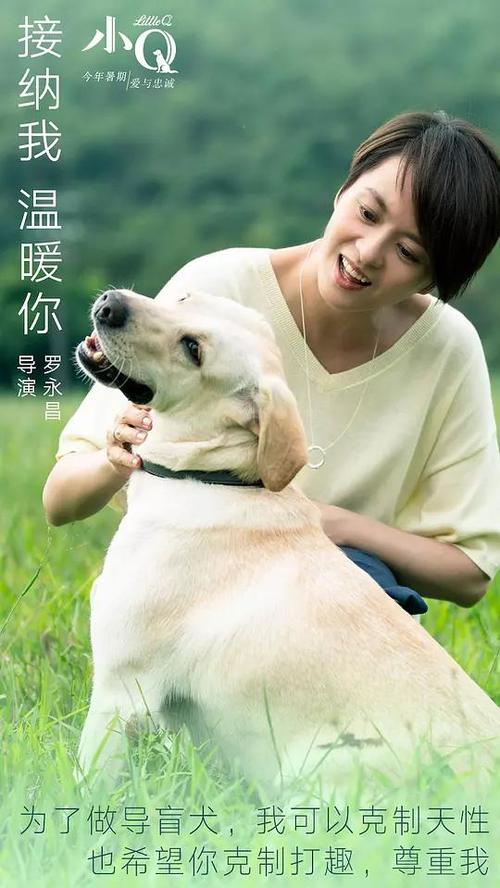 蒙德拉贡大学学士学位证